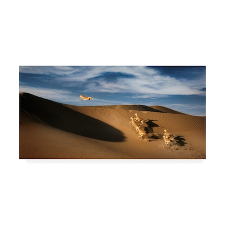 Wael Onsy 'The Sand Gazelle' Canvas Art,12x24